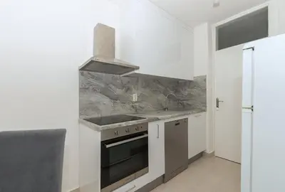 Kuhinja ili čajna kuhinja u objektu Apartment Violet