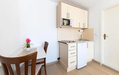 Kuhinja ili čajna kuhinja u objektu Nice Apartment In Baska Voda With House Sea View