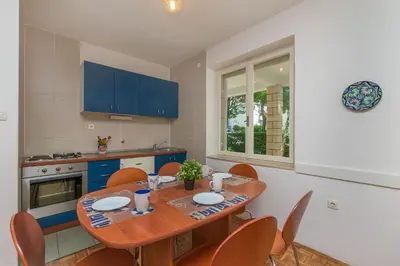 Kuhinja ili čajna kuhinja u objektu Apartments Dubravka