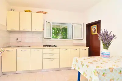 Kuhinja ili čajna kuhinja u objektu House Slavka