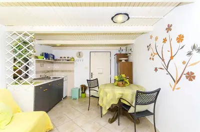 Kuhinja ili čajna kuhinja u objektu House Silvana