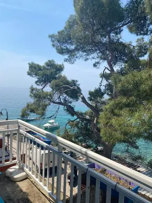Priroda u blizini apartmana