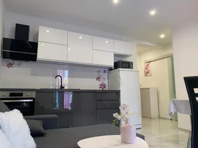 Kuhinja ili čajna kuhinja u objektu Apartments Milica