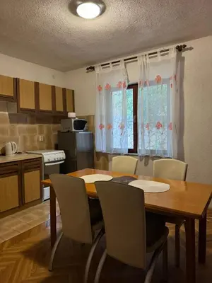 Kuhinja ili čajna kuhinja u objektu Apartman Jakov