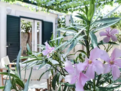 Vrt u objektu Apartments Gracin - One Bedroom Apartment with Terrace A1