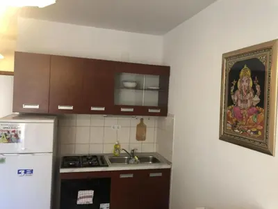 Kuhinja ili čajna kuhinja u objektu Apartmani Villa Borzic - One Bedroom Apartment with Terarce and Sea View