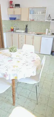 Kuhinja ili čajna kuhinja u objektu Apartmani Lemona