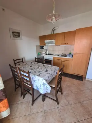 Kuhinja ili čajna kuhinja u objektu Apartmani Barbarić