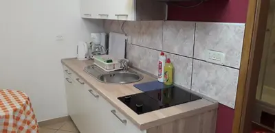 Kuhinja ili čajna kuhinja u objektu Apartment Perović