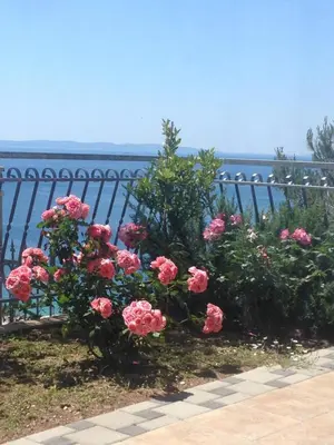 Priroda u blizini apartmana
