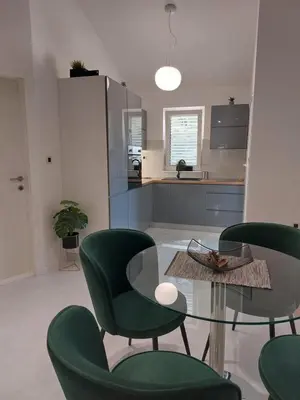 Kuhinja ili čajna kuhinja u objektu Apartments Antunović
