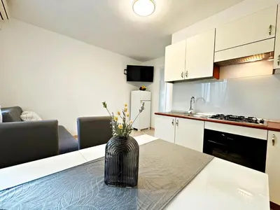 Kuhinja ili čajna kuhinja u objektu Apartment Baloević