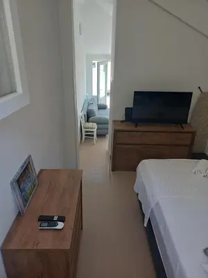 TV i/ili zabavni centar u objektu Seaview apartment Lukić