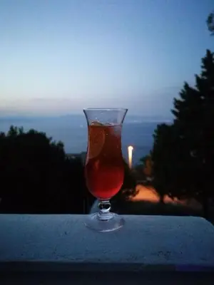 Pića u objektu Apartments with beautifull view Peace and quiet