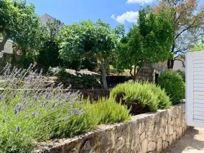 Vrt u objektu Villa Palma