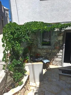 Vrt u objektu Apartman Tino