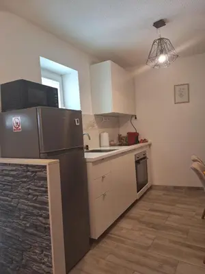 Kuhinja ili čajna kuhinja u objektu Apartman Tino