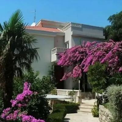 Krvavica apartments