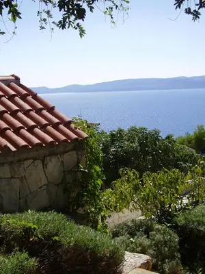 Priroda u blizini apartmana