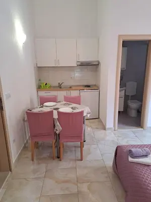 Kuhinja ili čajna kuhinja u objektu Apartman Sanda
