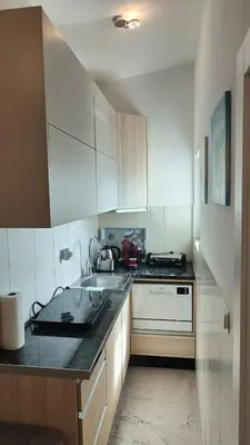 Kuhinja ili čajna kuhinja u objektu Apartments Miro - Front Row Sea View
