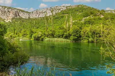 Priroda u blizini vila