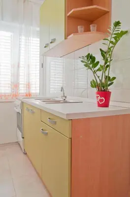 Kuhinja ili čajna kuhinja u objektu Leo2