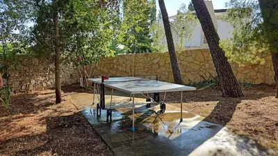 Vrt u objektu Studio among pines and beach