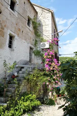Vrt u objektu Apartments by the sea Pucisca, Brac - 770