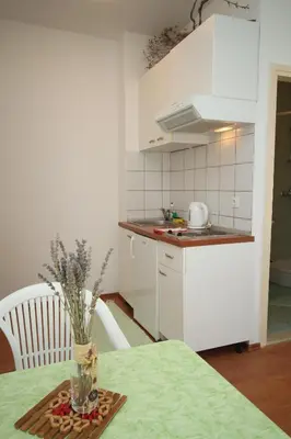 Kuhinja ili čajna kuhinja u objektu Apartments with parking space Brela - Makarska - 6907
