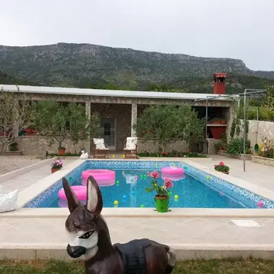 Holiday house with a swimming pool Bol