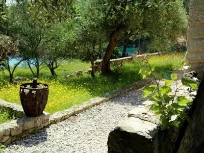 Vrt u objektu Secluded fisherman's cottage Cove Sveti Ante, Hvar - 24817