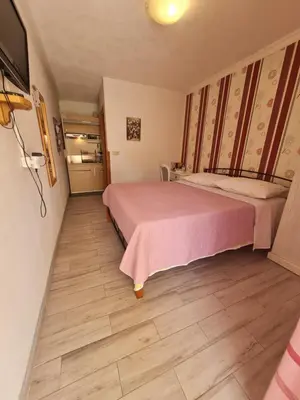 Krevet ili kreveti u jedinici u objektu Studio apartment in Stari grad