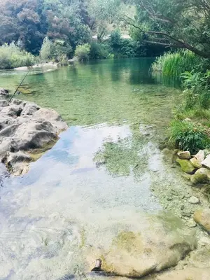 Priroda u blizini apartmana