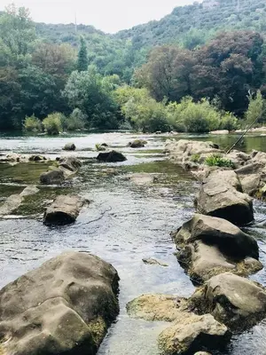 Priroda u blizini apartmana
