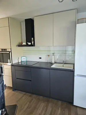 Kuhinja ili čajna kuhinja u objektu Boutique House Prosik