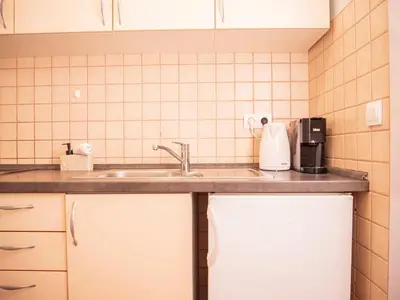 Kuhinja ili čajna kuhinja u objektu Apartman Jakša