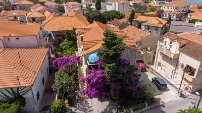 Okolica apartmana ili susjedstvo u blizini