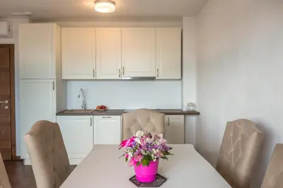 Kuhinja ili čajna kuhinja u objektu Apartmani Arapovic