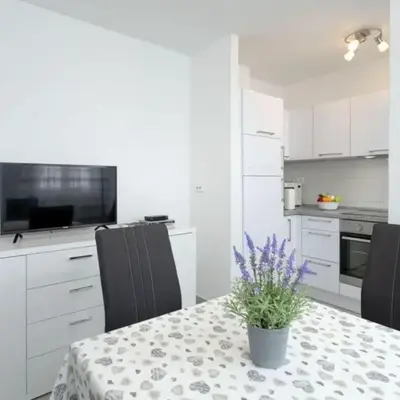 One Bedroom Apartment with Terrace and Sea View 4