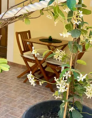 Tlocrt objekta Apartments Kiro