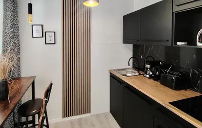 Kuhinja ili čajna kuhinja u objektu 1 Bedroom Stunning Apartment In Hvar