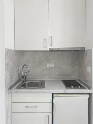 Kuhinja ili čajna kuhinja u objektu Paladin Studio Apartments
