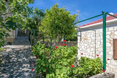 Vrt u objektu Secluded fisherman's cottage Cove Fabrice, Solta - 8692