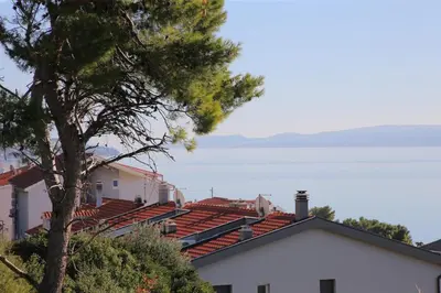 Priroda u blizini apartmana