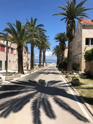 Priroda u blizini apartmana