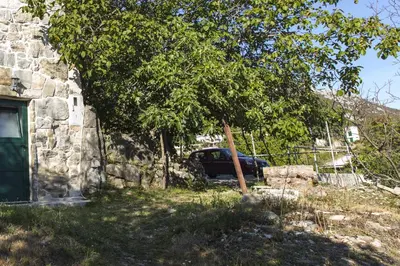 Priroda u blizini apartmana