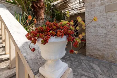Vrt u objektu Seaside holiday house Pucisca, Brac - 14003