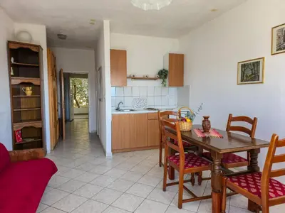 Kuhinja ili čajna kuhinja u objektu Apartments Giran