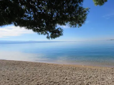 Priroda u blizini apartmana